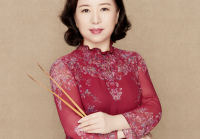 于红梅二胡独奏（于红梅二胡独奏一枝花视频）