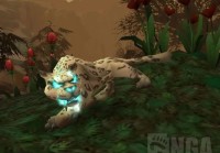 WLK猎人改动 WLK4只灵魂兽与稀有宠物介绍（魔兽世界猎人灵魂宠物）