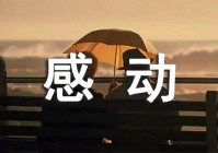 你让我感动作文600字（你让我感动作文600字 爱情故事）