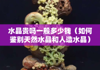 水晶贵吗一般多少钱（如何鉴别天然水晶和人造水晶）（水晶贵重吗）
