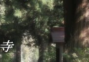 天然寺とは（我要看巴齿巨人的图片）