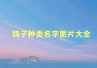 鸽子种类名字大全，鸽子种类（鸽子种类名字图片大全图片）