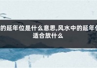 风水的延年位是什么意思,风水中的延年位适合放什么（风水延年方位怎么利用）